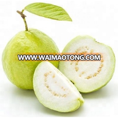 FAIR Trade White Guava Pulp