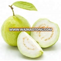 FAIR Trade White Guava Pulp