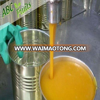 Canned Totapuri Mango Pulp 3.1 KG CAN